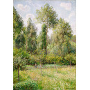 Репродукции на картини: Тополи, Ерани (1895) – Камий Писаро